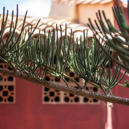 فيلة Casa Mami- A Spanish Oasis In Lajares For Families & Friends *