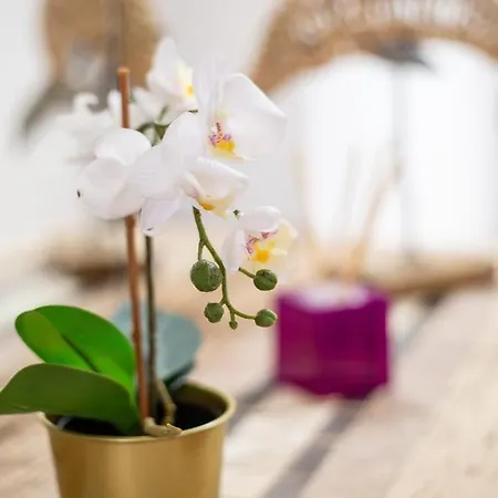 Casa Mami- A Spanish Oasis In Lajares For Families & Friends فيلة لاجاريس