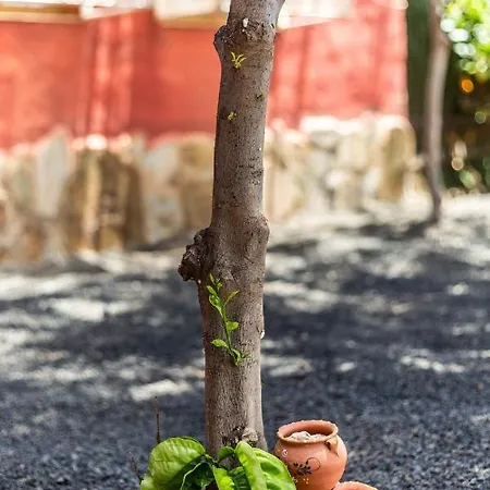 Casa Mami- A Spanish Oasis In Lajares For Families & Friends فيلة